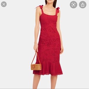 Gorgeous Saloni Dress